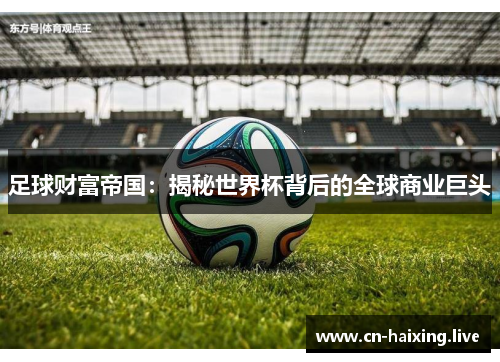 足球财富帝国:揭秘世界杯背后的全球商业巨头 足球财富帝国:揭秘世界杯背后的全球商业巨头